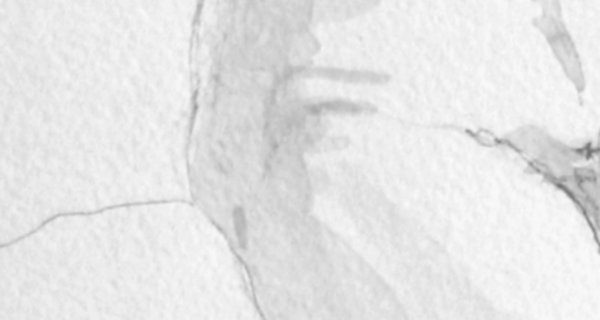 Akt_Bleistift_XI